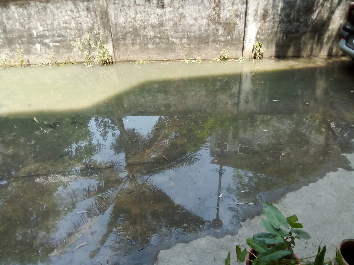 _saurabhpathak's tweet photo. Blocked/damaged drainage line at #manishpuri complaint done on 10th April 26. No progress made. Drainage water collecting in campus. Serious health risk.  @SwachhIndore @CMMadhyaPradesh @PMOIndia https://t.co/S9OSBFC8Oi