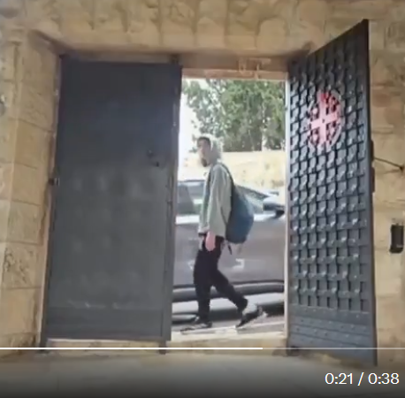 Natalie Bédard 🍉🌻🌿 tweet media