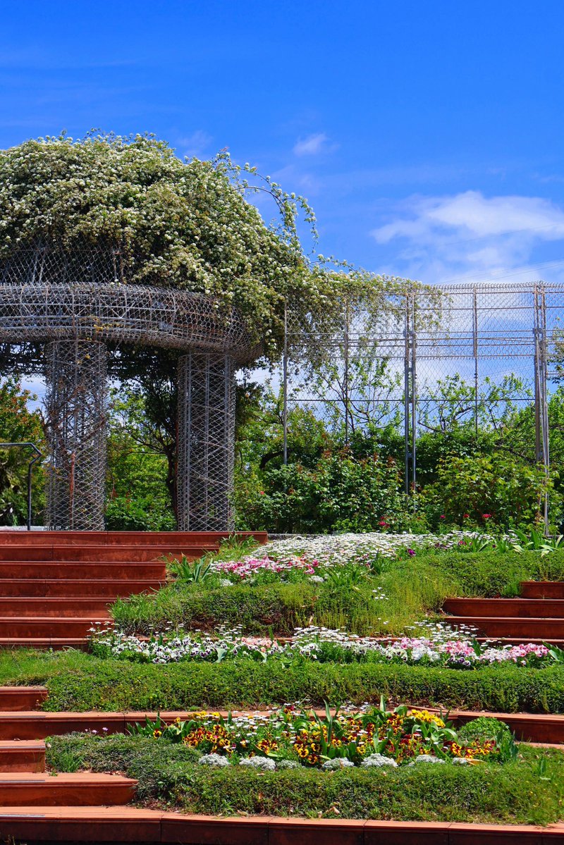 photo_hobbies's tweet image. 陽だまりガーデン

#小田原 #Canon #EOSR50