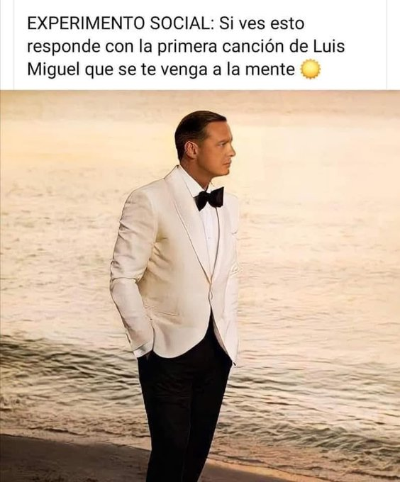 Luisits'N Pajarits'N 💙 tweet media