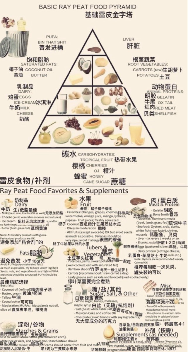 BigolWave's tweet photo. They told me “the chinese Ray Peat food pyramid isn’t real and can’t hurt you” https://t.co/sXb0woajGE