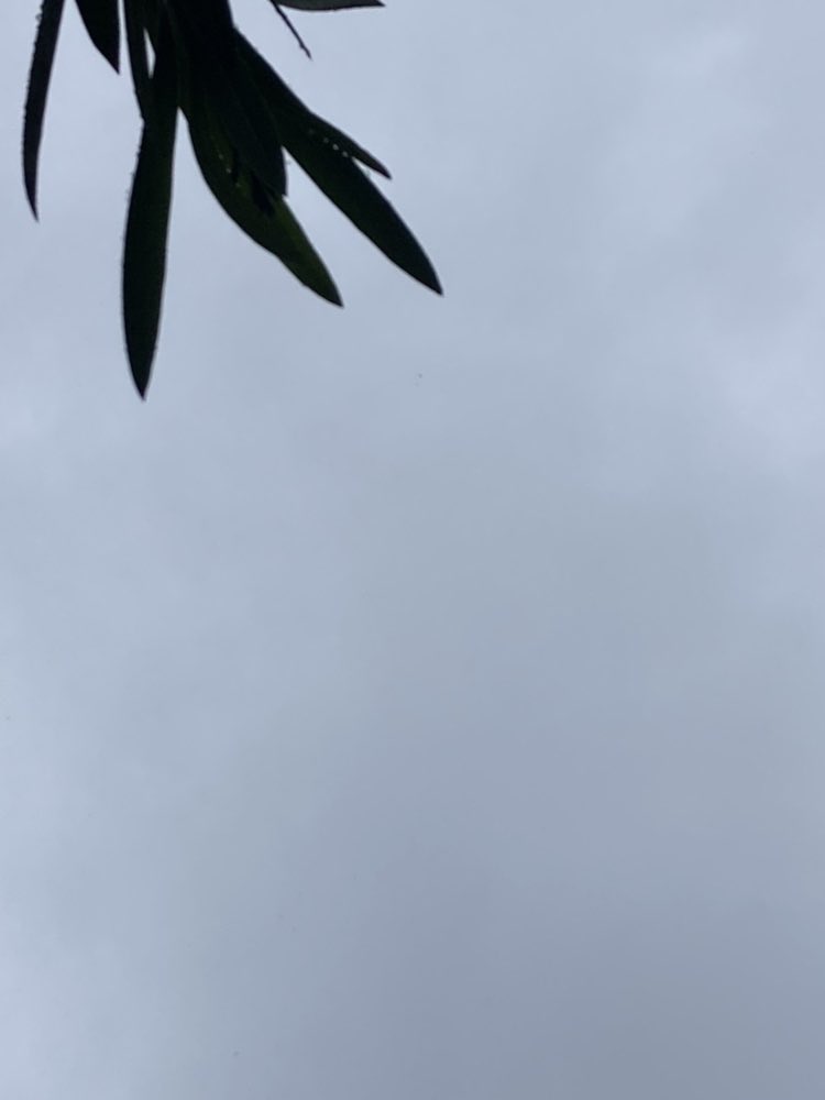 【30人企業のリアルを届けるPodcast公開中！】株式会社ジョイゾー@「システム39」 tweet media