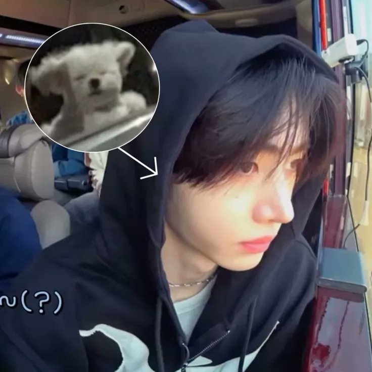 ellie VAI VER BTS E ENHYPEN tweet media