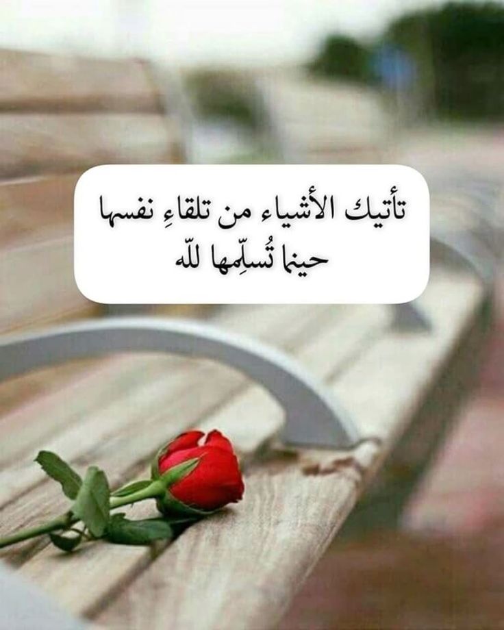 ahme955 tweet media