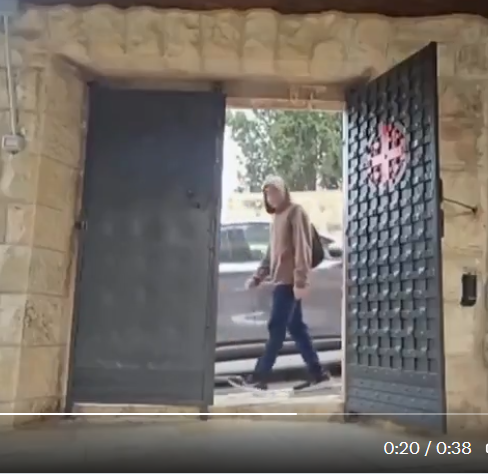 Natalie Bédard 🍉🌻🌿 tweet media