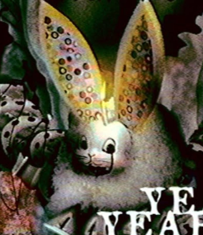 luna 🏳️‍⚧️ tweet media