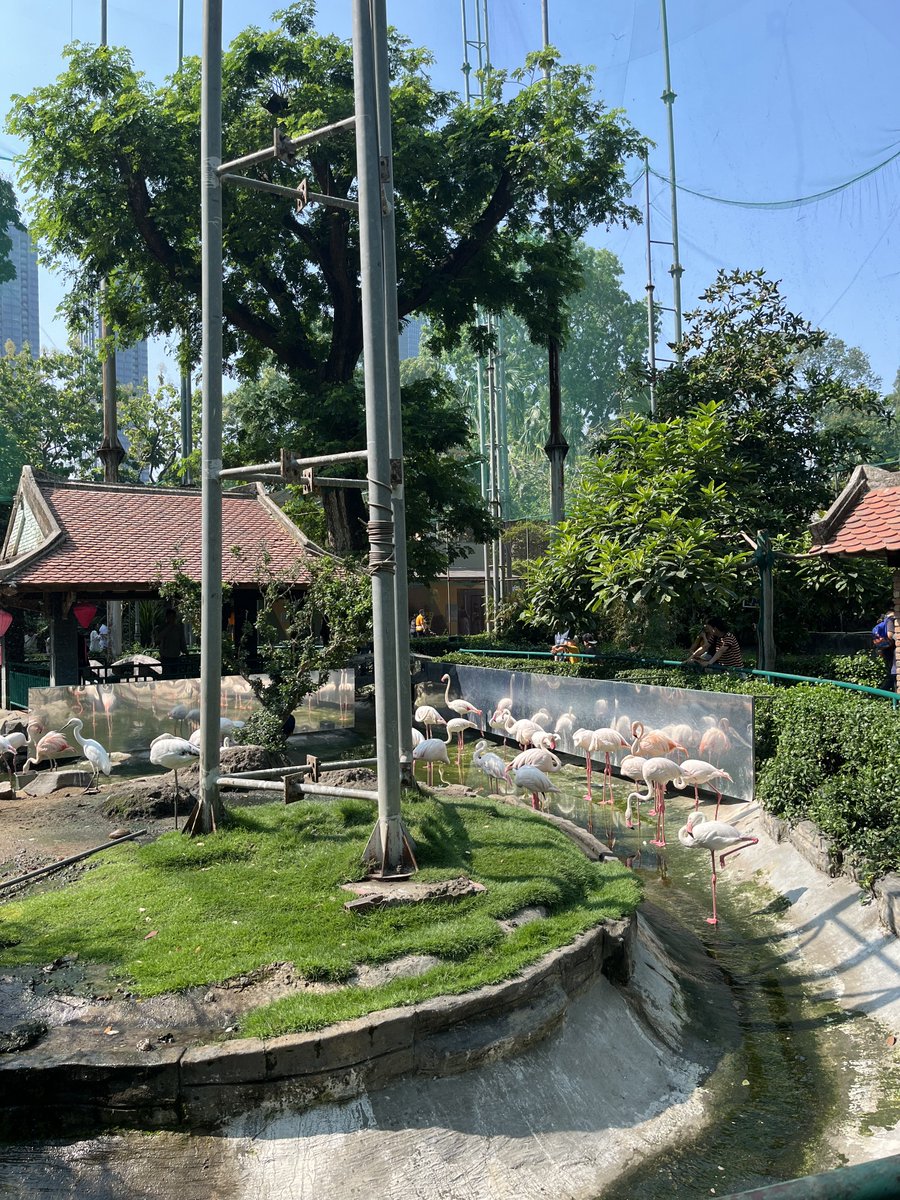 Trí ACJ 🇻🇳 tweet media