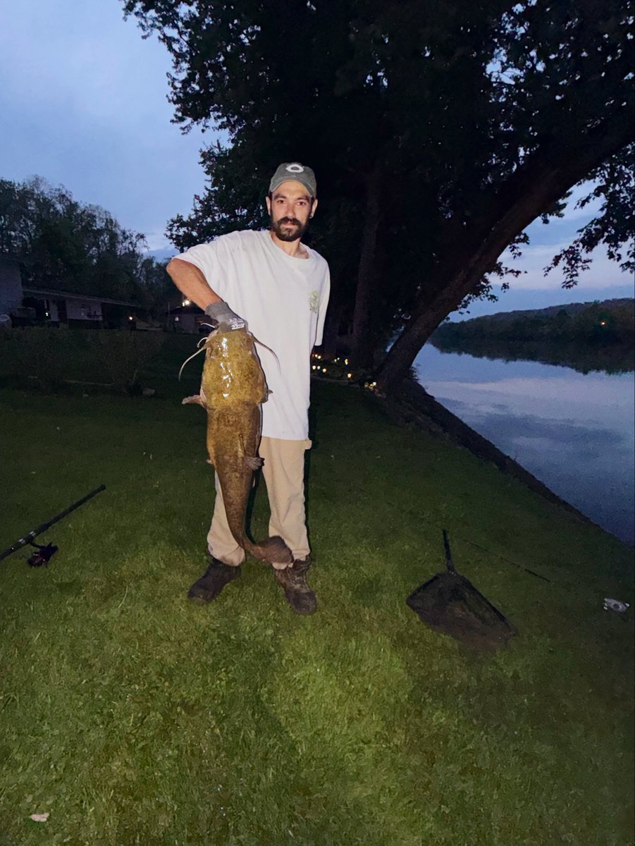 DaMint_'s tweet photo. New back yard record 🤙 #MuskingumRiver #Ohiofishing #Catfish #Thicccats https://t.co/6rN0s8ArDA