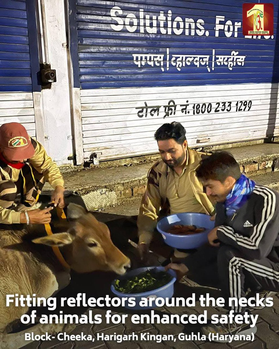KusumCh82723374's tweet image. आवारा पशुओं को भोजन कराने का एक छोटा सा कार्य करुणा की लहर पैदा कर सकता है। संत एमएसजी इन्सां "पशु कल्याण" अभियान हमें इन बेजुबान प्राणियों की निस्वार्थ सेवा करना सिखाता है।
#RoadSafety 
#AnimalWelfare