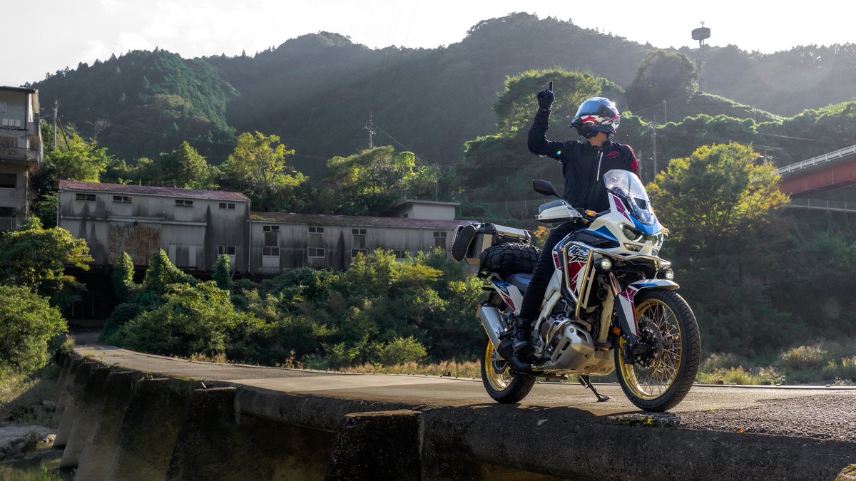 エンテレケイア tweet media