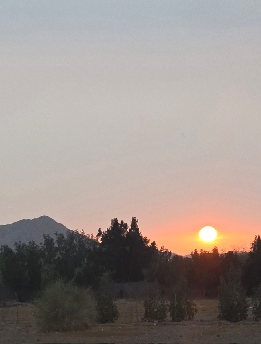 full_moon90's tweet photo. _*▫️▪️▫️▪️▫️▪️*_
_*"اللَّهُمُّ خَيْرُ الْأُمُورِ وَخَيْرُ الْأَيَّامِ وَخَيْرُ الْأَقْدَارِ*_

*_⚜️ طاب صباحكم_*

#صباح_الخير https://t.co/goJAmj8NFU