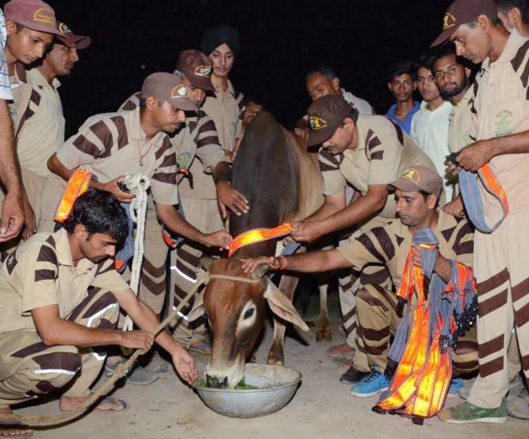 MOHITJI16488286's tweet image. Treating every animal with kindness and compassion has the power to transform our society. Inspired by Saint Dr. MSG Insan, DSS volunteers are actively engaged in improving welfare.

#RoadSafety 
#AnimalWelfare

Saint MSG