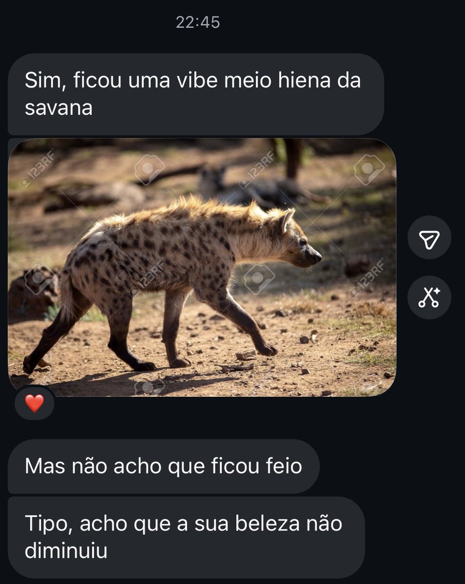 sei lá broder tweet media