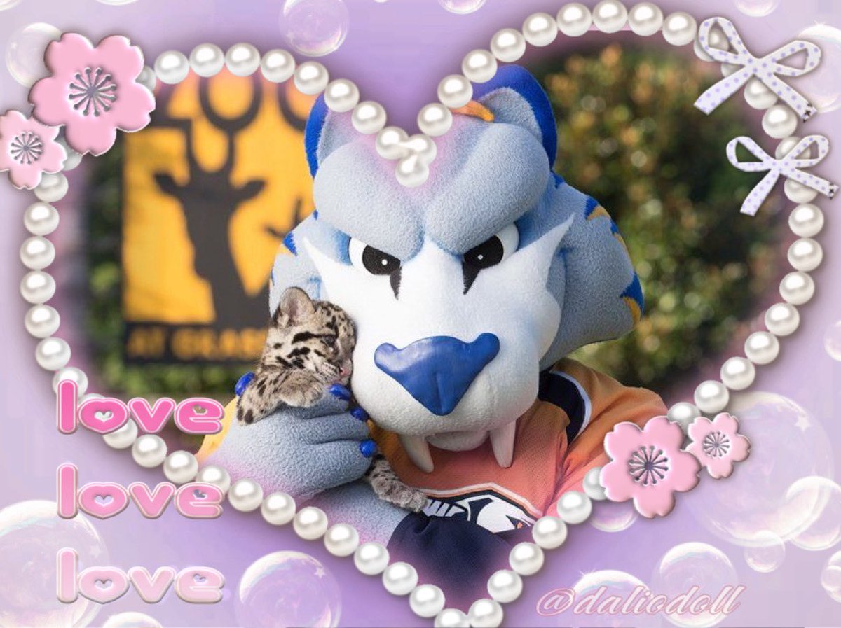 ᓚᘏᗢ tweet media