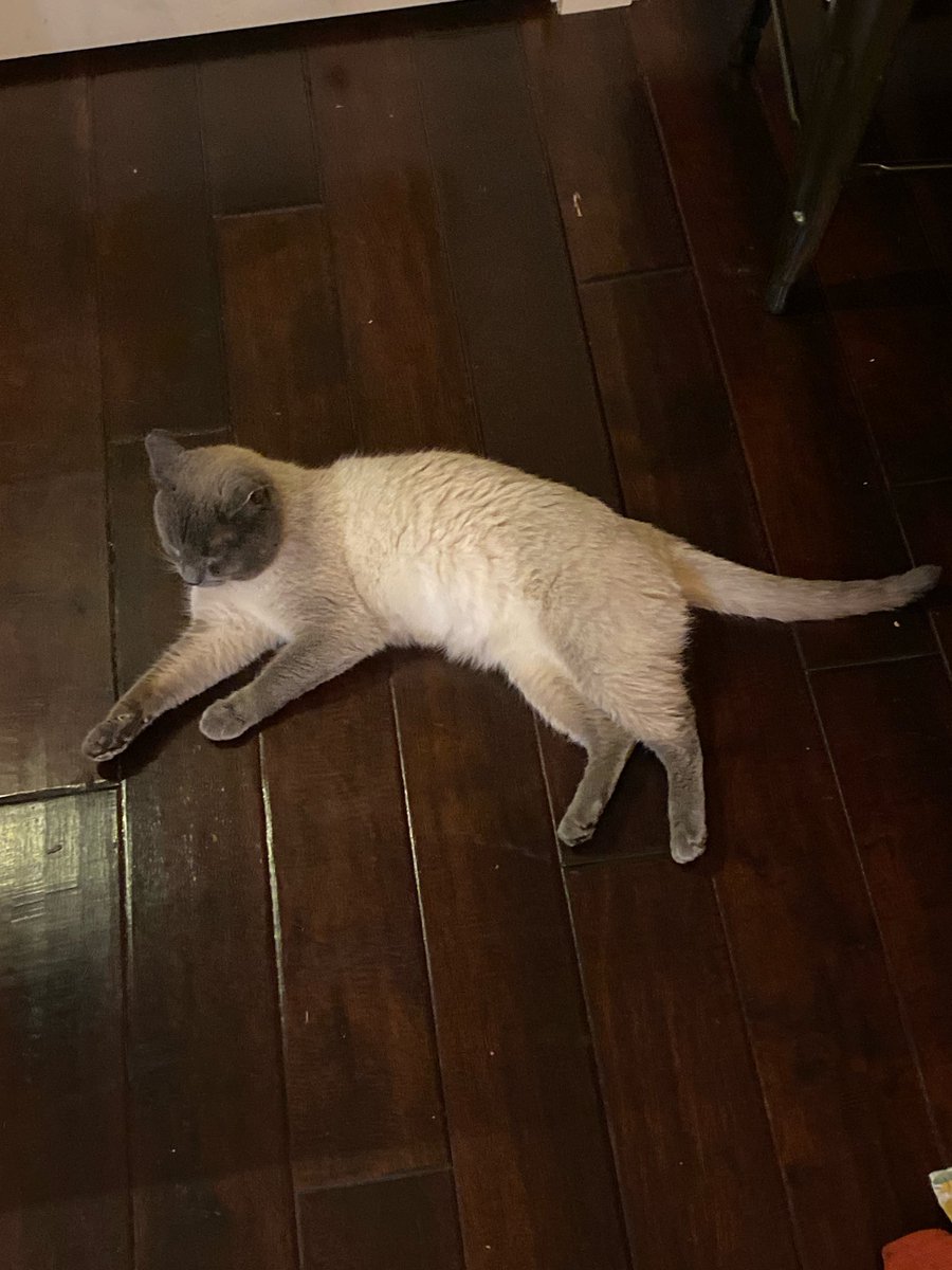 Homer J. Supreme 🇵🇸🇱🇧 tweet media