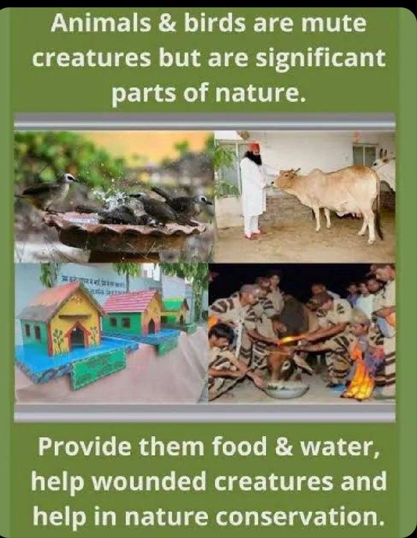 Let's extend helping hand towards mute creatures. 
Spiritual mentor Saint Gurmeet Ram Rahim ji inspires millions to be kind towards animals. DSS volunteers provide shelter, fodder, medical aid to the injured animals on roads and tie reflector belts. 
#AnimalWelfare