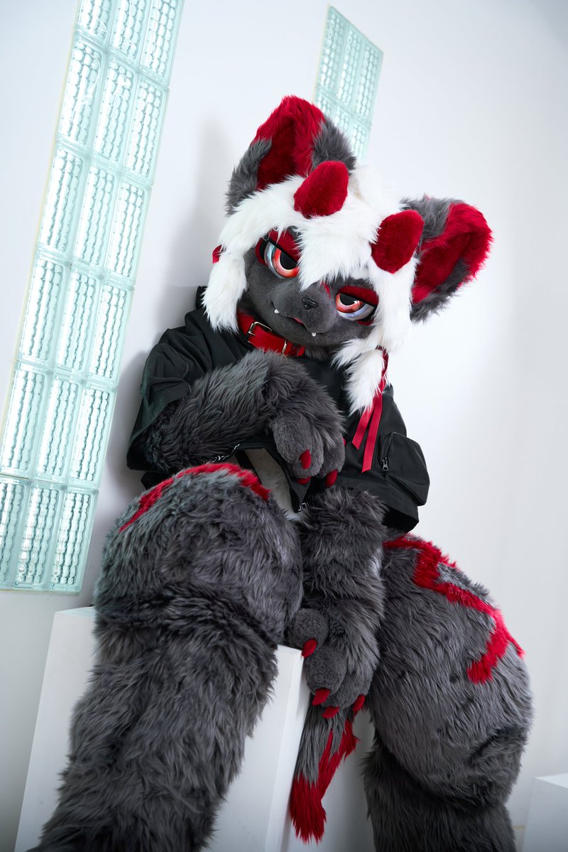 Dindin🔜Hifurry tweet media