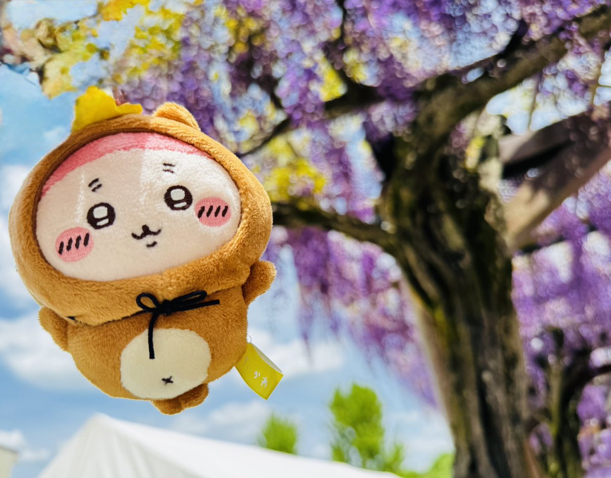 ちこISFJ-T tweet media