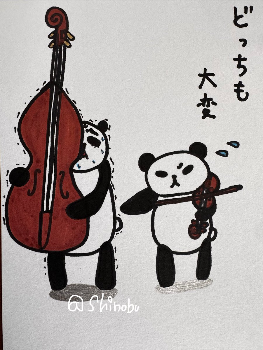 marimbue's tweet photo. スピンオフ
「コントラバスを知って欲しいの」
楽譜に音が沢山のヴァイオリン
運搬に体力も気も遣うコントラバス
どっちも大変
#コントラバスあるある #コントラバス #contrabass #パンダ
ネタ提供・本文
コントラバス奏者谷口拓史さん@Carp0208 https://t.co/fN7Tq0jerT