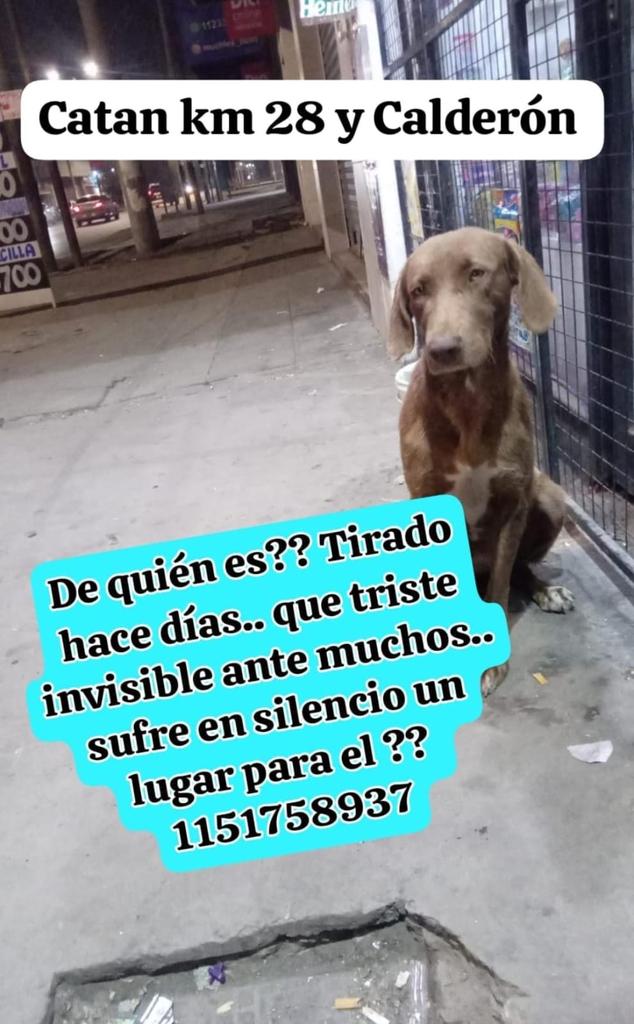 patripeyrou's tweet photo. Difundimos 
Rt https://t.co/y0yHjyPKgD