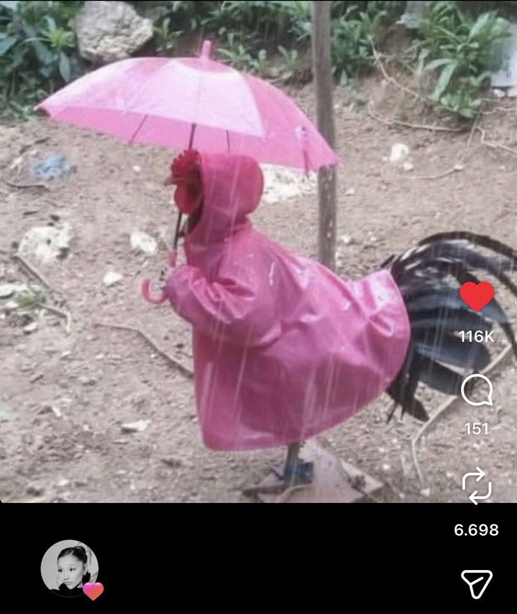 HAHAHAHAHAHAHA WHO IN SB19😭