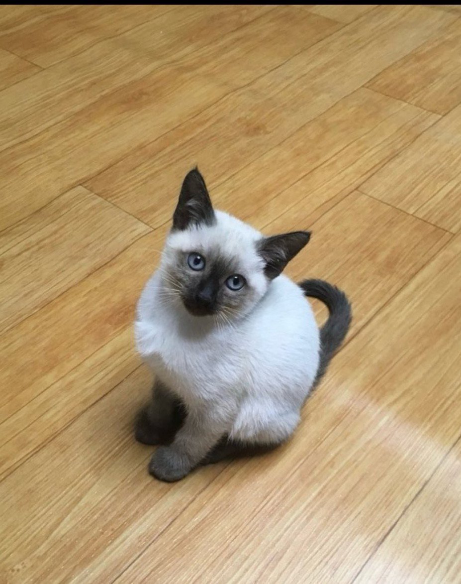 최산 애정해 tweet media