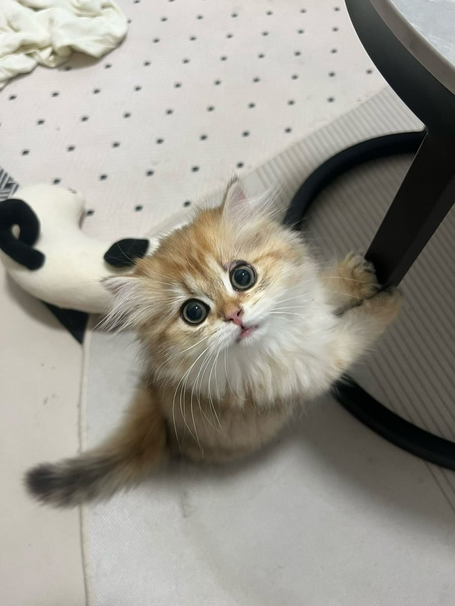 My babe🥹