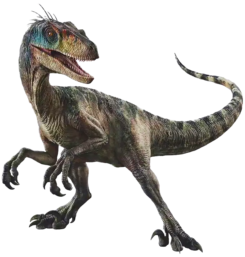 Kaiju | Also now in bsky, anotherkaiju.bsky.social tweet media