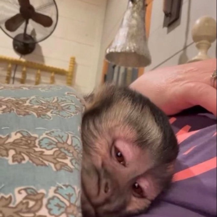 asi se siente tener q dormir sola con el frío q hace y no estar durmiendo abrazada a mi novia