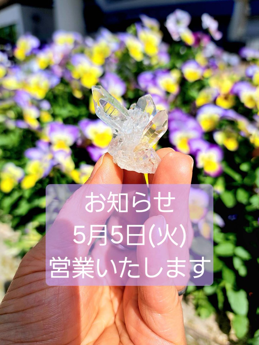 Crystal_SiERRA4's tweet photo. 〖お知らせ〗ゴールデンウィーク5月5日(火)10:00～18:00クリスタルショップシエラ営業致します。～·～◇通常の火曜日は定休日ですが、GW は営業致します。

どうぞお気軽にお越しくださいませ。　https://t.co/UGGn2TxkPy https://t.co/5uNyCtzTW2