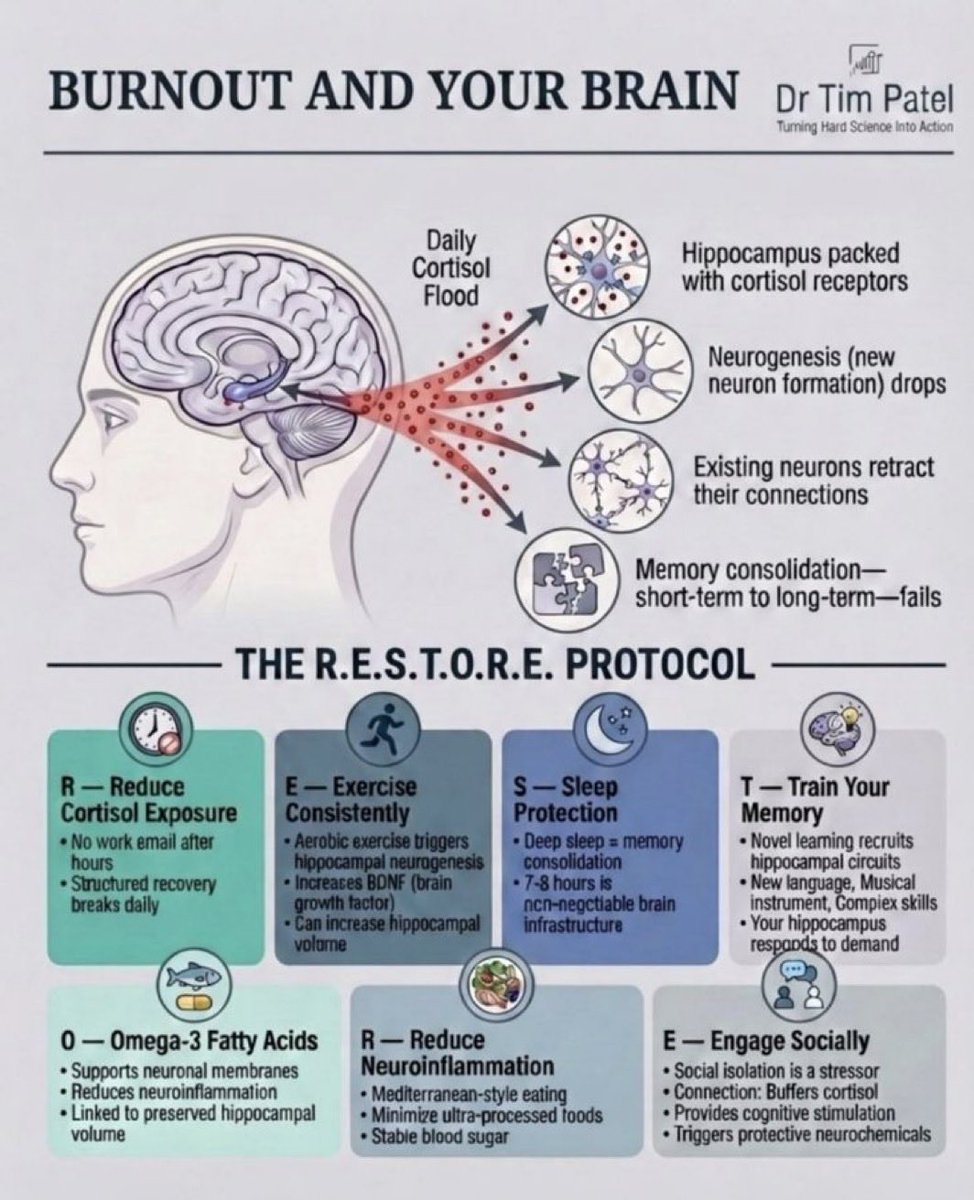 د.نجوى المطيري🕊️🤍 tweet media