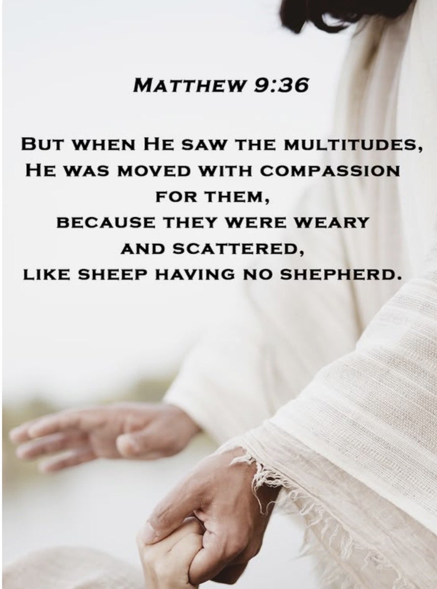 sharonePack's tweet image. PILLOW🌟#PROMISE💫 

When [Jesus] saw the crowds, he had compassion on them . . .
~ Matthew 9:36 

This is the tenderhearted mercy of Jesus.
It is a heart of genuine #compassion toward others.