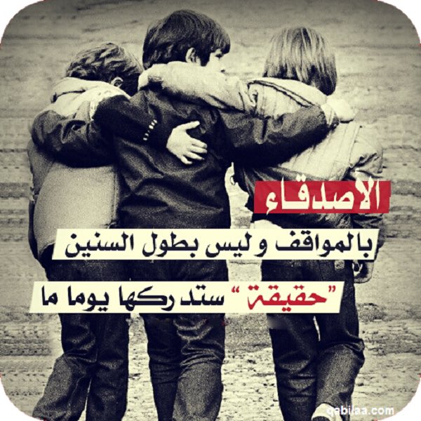 SLF | سلف tweet media