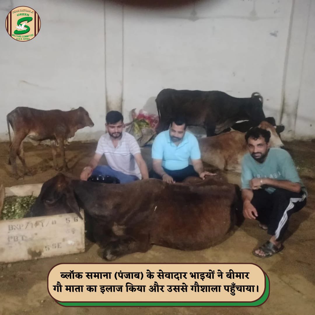 इंसानियत सिर्फ लोगों के लिए नहीं होती बल्कि यह हमे बिना किसी स्वार्थ के सबका भला करना भी सिखाया जाता है Saint Gurmeet Ram Rahim Ji की प्रेरणा से सड़कों पर घूम रहे आवारा जानवरों को चारा पानी दवाइयां ओर गले में रिफ्लेक्टर बेल्ट पहनते है  सड़क पर कोई दुर्घटना ना हो 
#AnimalWelfare