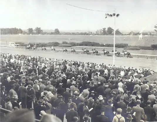 RayColevas🐎🐎 tweet media