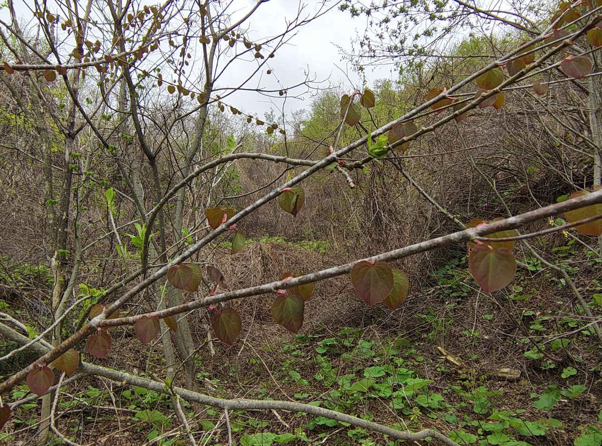 山河童 tweet media