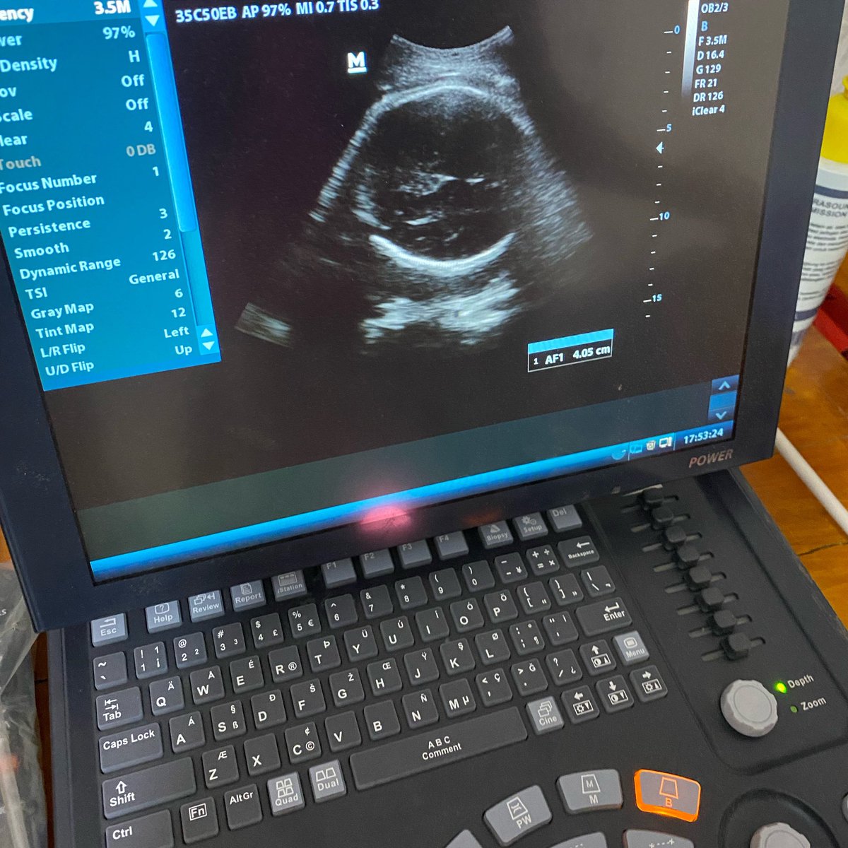 shaa || kinda ia tweet media