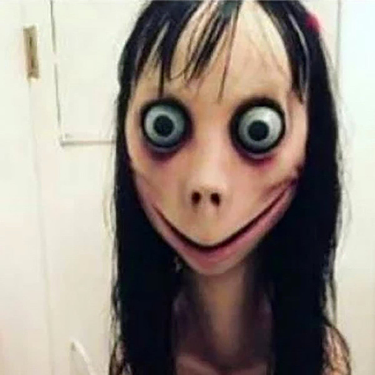 X Participant tweet media