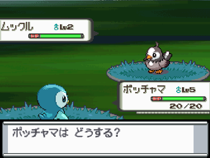 Shiny piplup at phase 2 after only 3,630 SRs! I am so glad to have gotten this under odds ✨