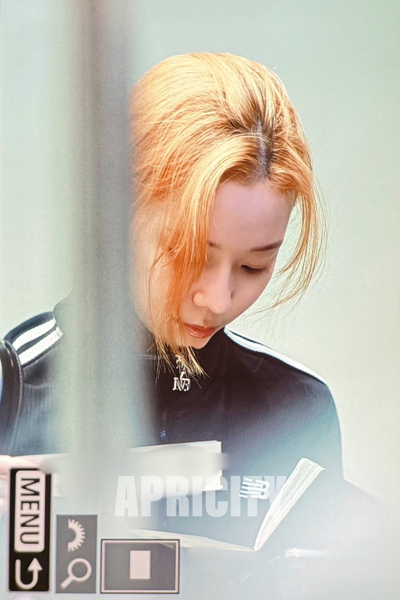 Apricity tweet media