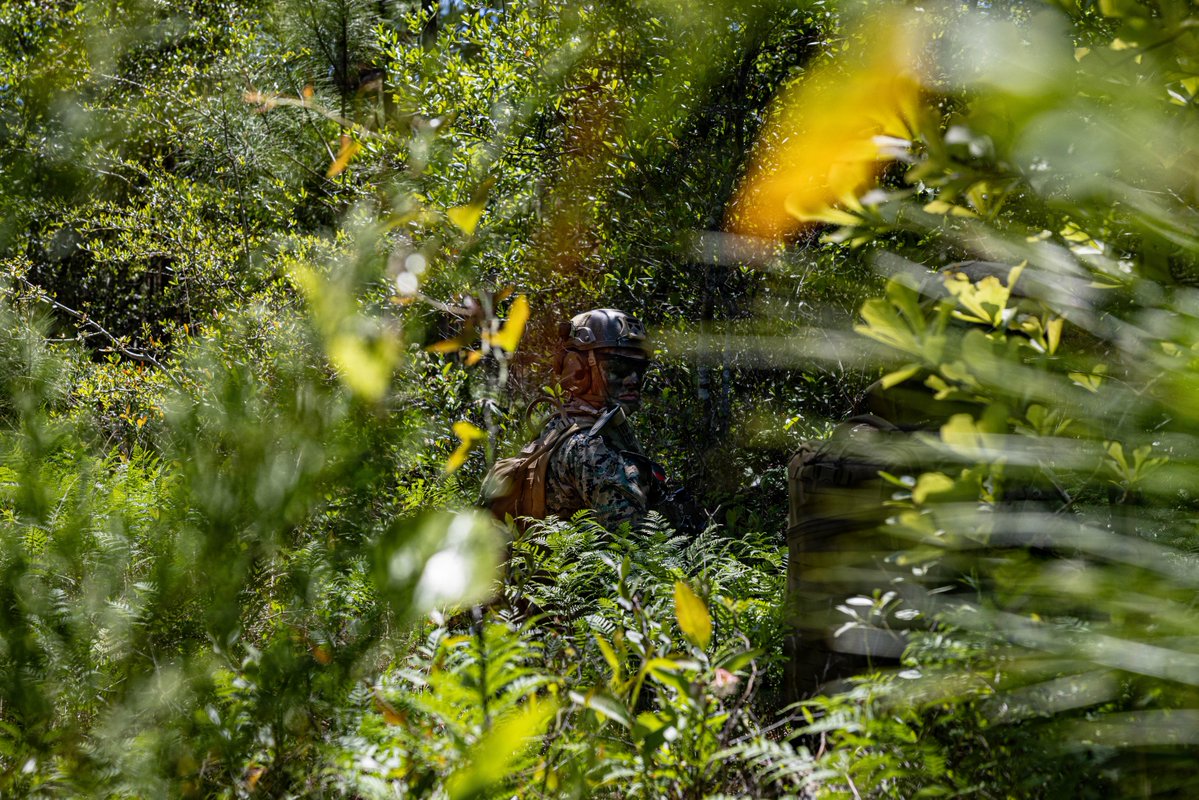 U.S. Marines tweet media