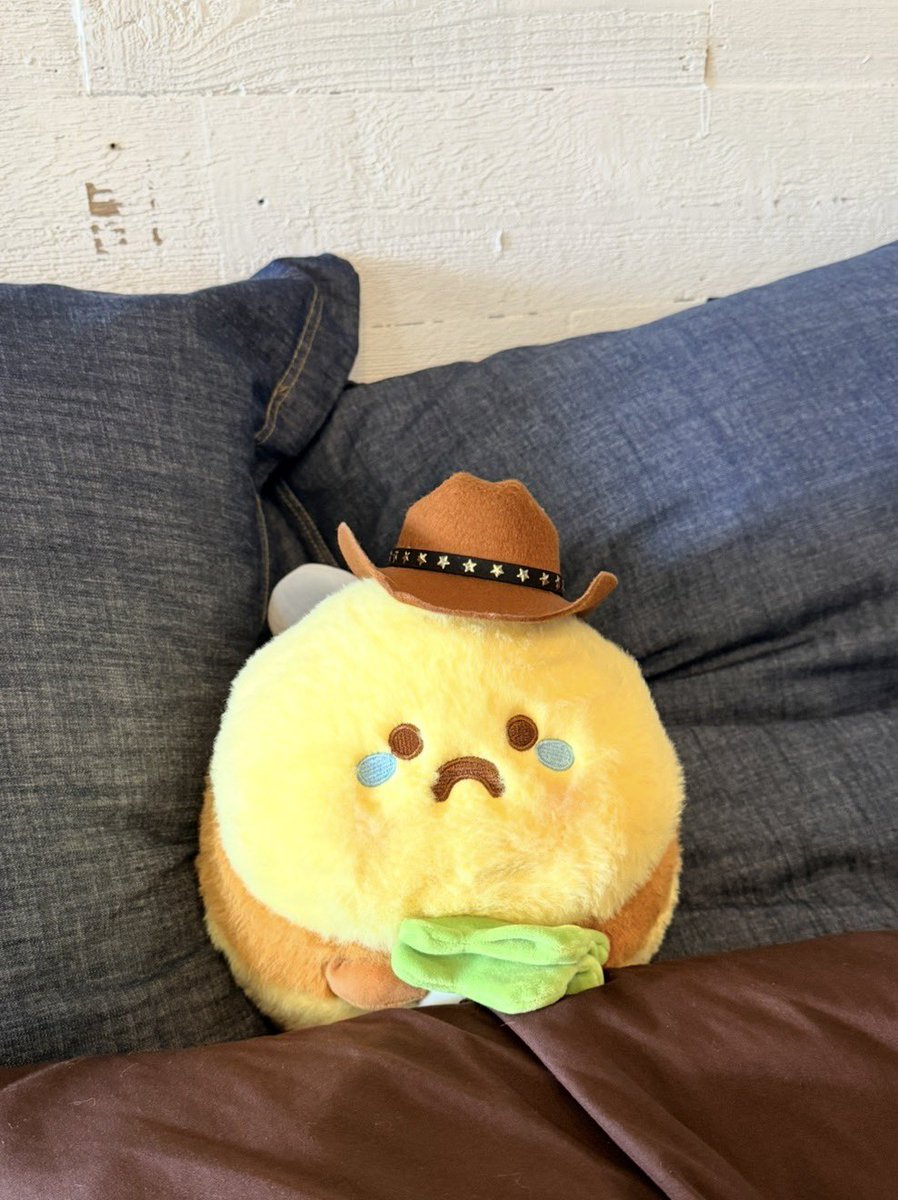 Amanogawa Shiina✂️✨Phase Connect tweet media