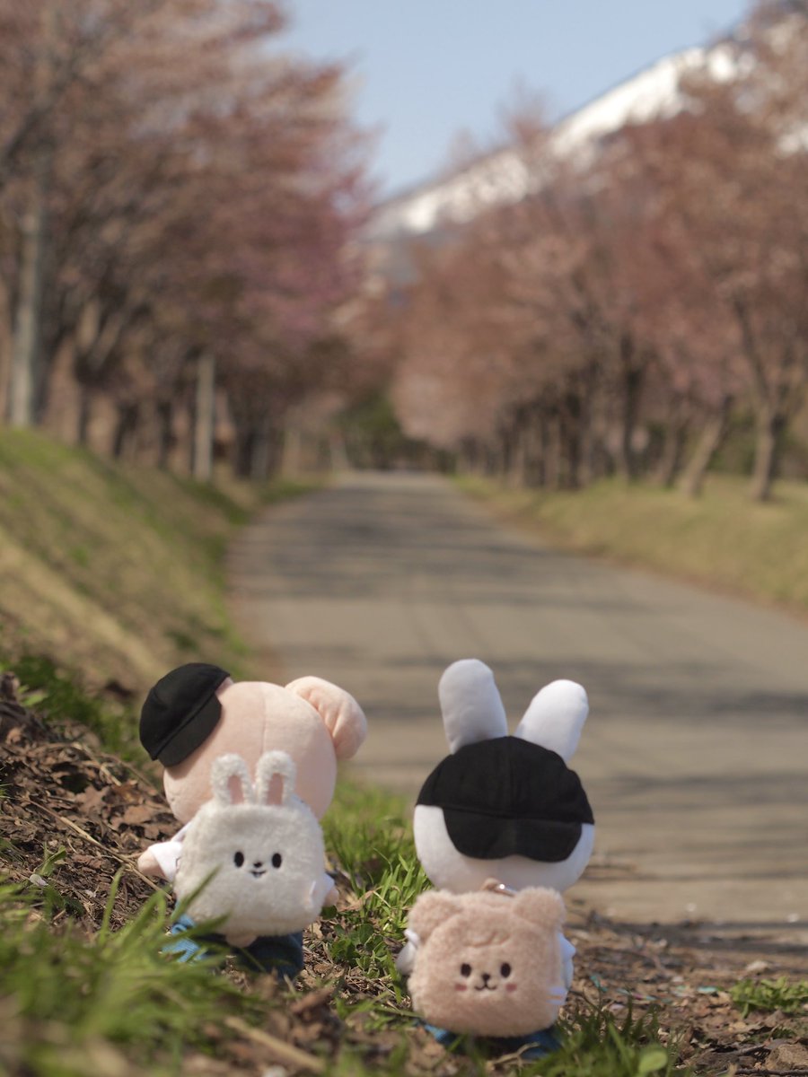 とてちてとてちて🏔️
頑張って登ります🐰🐶