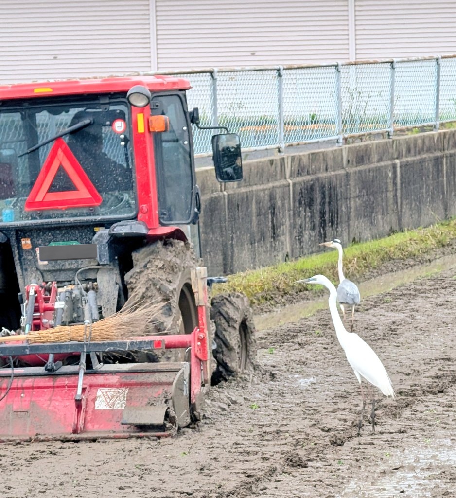 ✡Ai✡ tweet media