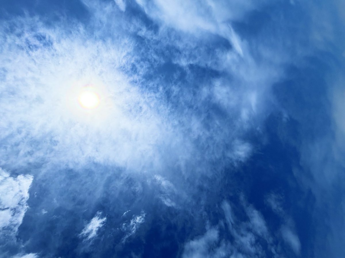 ☆りか☆ tweet media