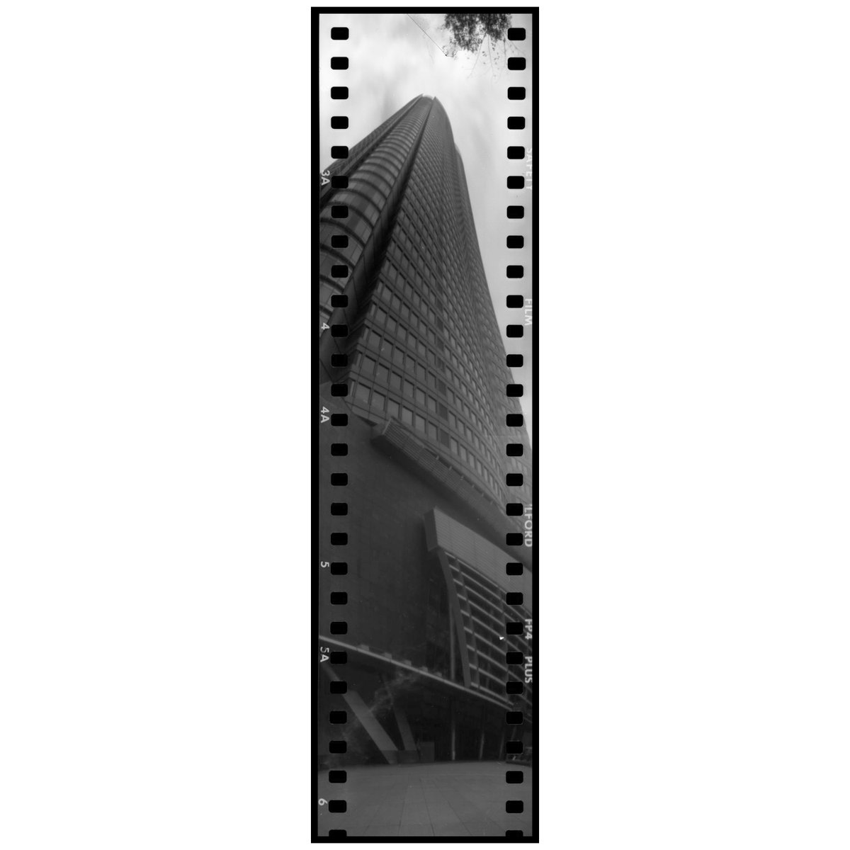 k_photo_tokyo's tweet image. 自作パノラマカメラ #filmphotography