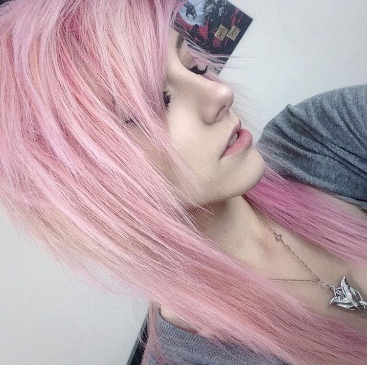 𑣲┆Violette ˚.⋆ֹ tweet media