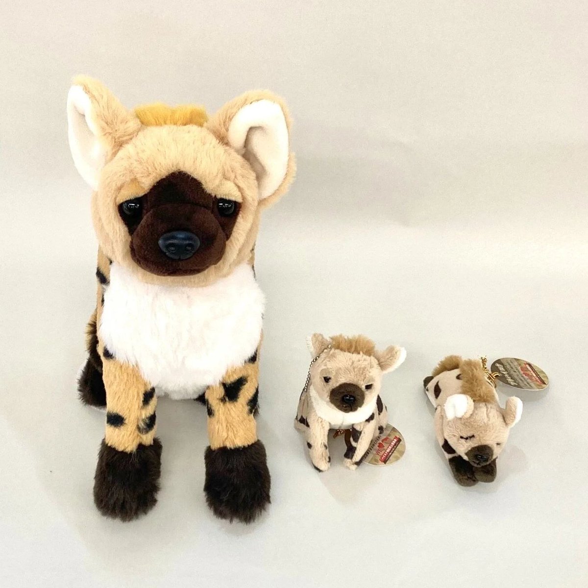 【千葉市動物公園】森のレストラン＆オフィシャルショップ tweet media