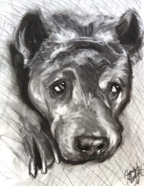 hat921's tweet image. jameshatfieldillustration.art

#art #artist #drawing #charcoal #pastels #animals #portraits #events #gallery #LDCC #fyp