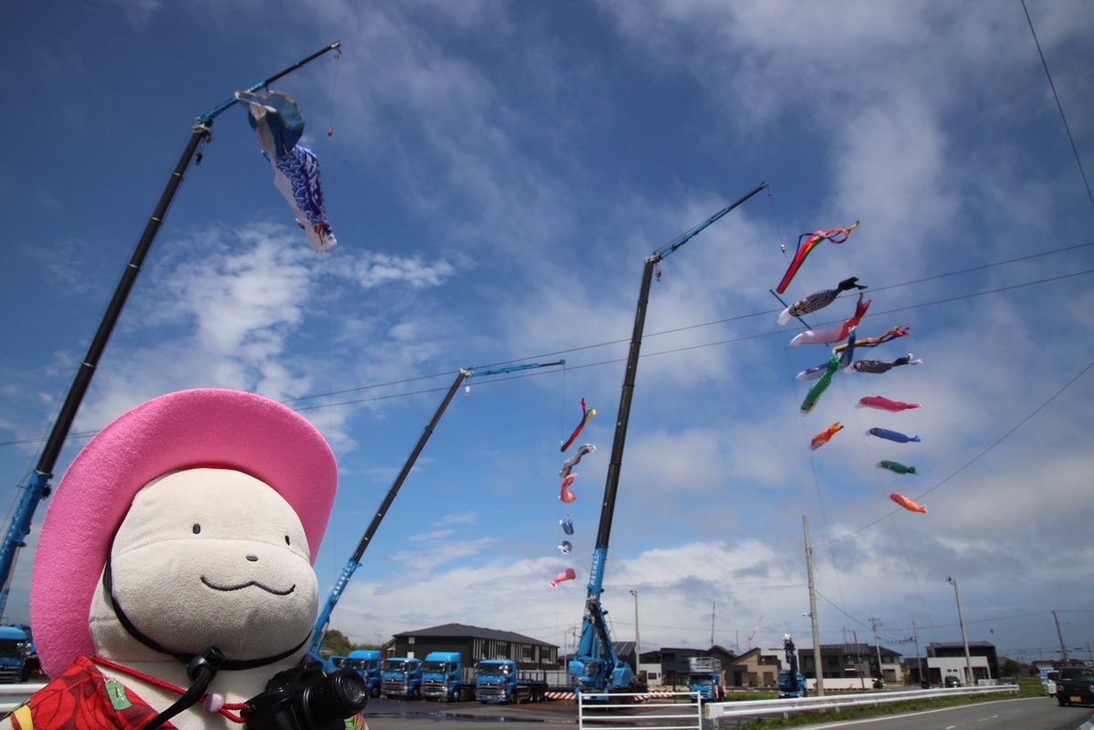 ふわふわの　くまz tweet media